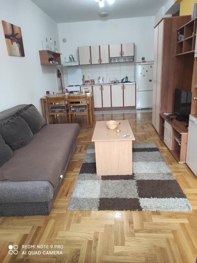 Apartman Marina Sa Garazom โนวีซาด ภายนอก รูปภาพ