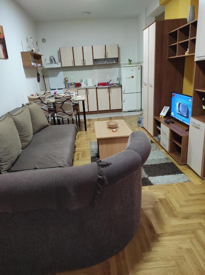 Apartman Marina Sa Garazom โนวีซาด ภายนอก รูปภาพ