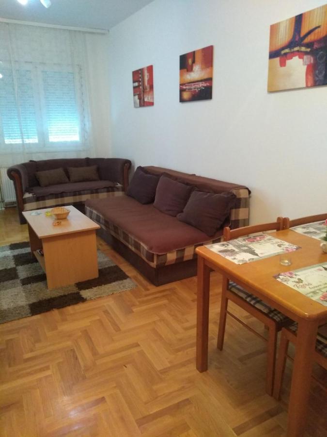 Apartman Marina Sa Garazom โนวีซาด ภายนอก รูปภาพ