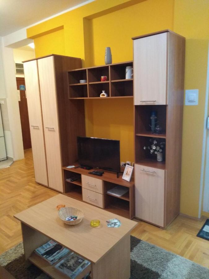 Apartman Marina Sa Garazom โนวีซาด ภายนอก รูปภาพ